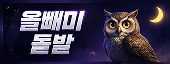 올빼미돌발